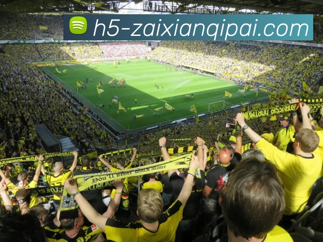 App Interface Preview